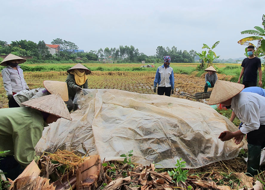 Huy động nguồn lực cộng đồng trong xử lý rác thải khu vực nông thôn