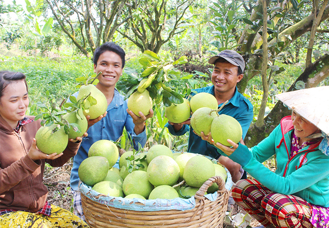 Làm rõ thêm về 