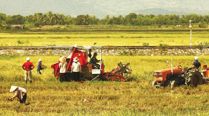 15 năm thực hiện Nghị quyết Trung ương 7 khoá X về nông nghiệp, nông thôn