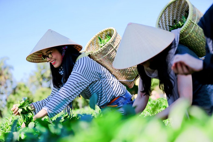 Nhiều chuyển biến trong ứng phó biến đổi khí hậu