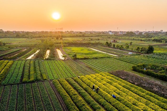 Đẩy mạnh cơ cấu lại ngành nông nghiệp trong bối cảnh hội nhập