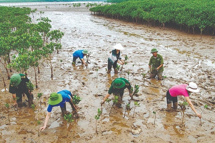 Chủ động kiểm soát ô nhiễm môi trường, ứng phó với biến đổi khí hậu