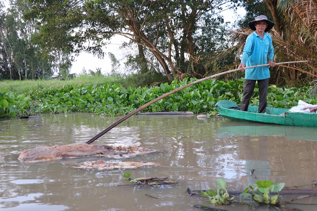 Phòng ngừa, ứng phó sự cố môi trường