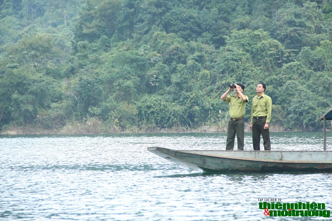 Phát triển du lịch sinh thái gắn với nhiệm vụ bảo vệ rừng