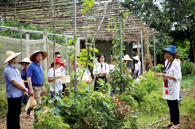 Đề xuất đầu tư nguồn lực phát triển du lịch nông thôn