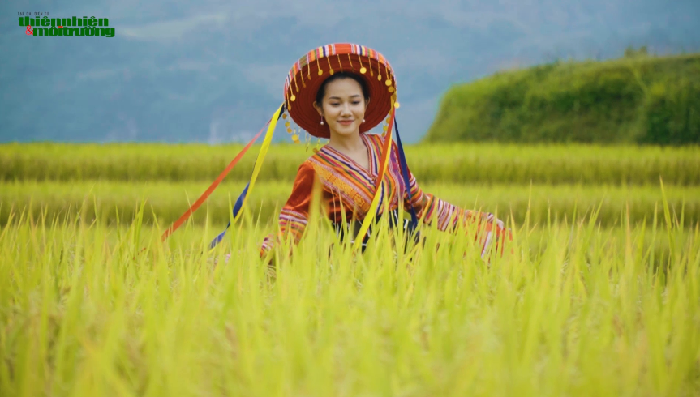 Tuyên Quang – Sắc hương núi rừng Tây Bắc