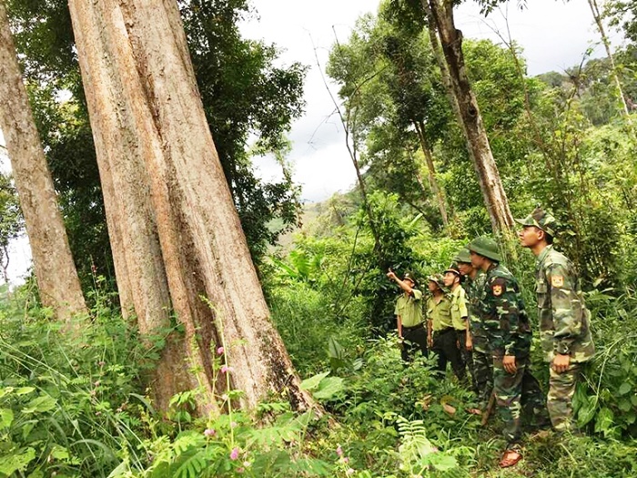 Ngày Quốc tế về Rừng năm 2022: Rừng và sản xuất, tiêu dùng bền vững