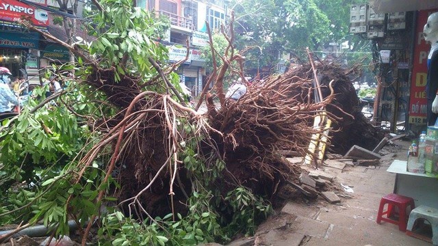 Theo dõi chặt chẽ diễn biến mưa dông, lốc, mưa đá và lũ quét