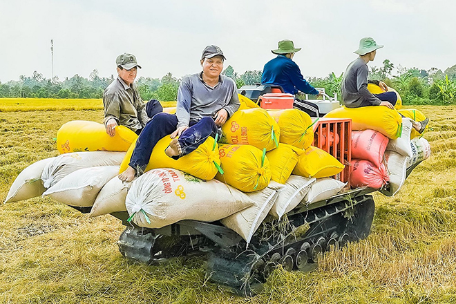 Cần nguồn lực thúc đẩy kinh tế chủ lực vùng ĐBSCL