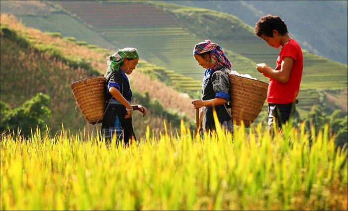 Tạo sức bật cho du lịch cộng đồng vùng núi 