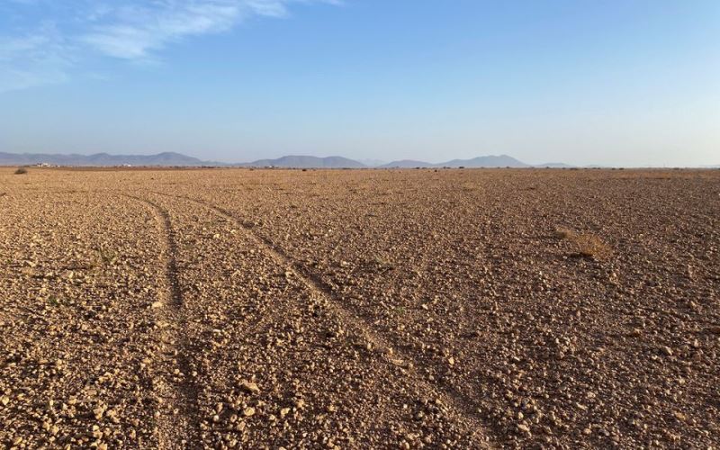 Hạn hán nghiêm trọng gây thiệt hại nặng nề tại Maroc