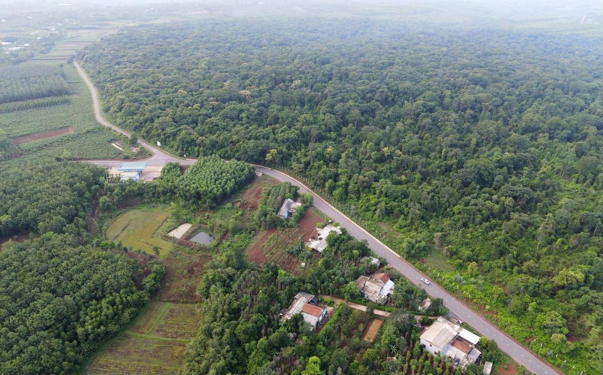 Rừng Rú Lịnh- Cánh rừng nguyên sinh duy nhất nằm giữa đồng bằng tỉnh Quảng Trị