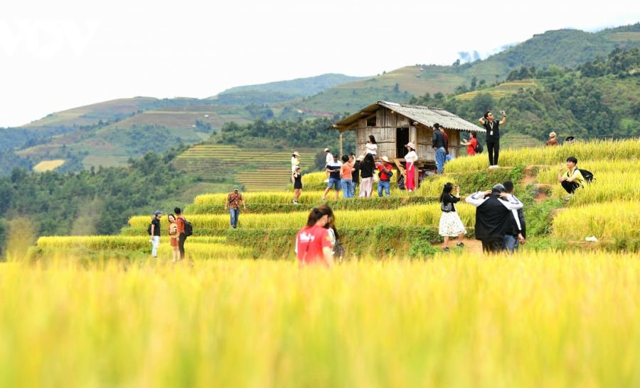 [Photo Story] Ruộng bậc thang – “Tác phẩm