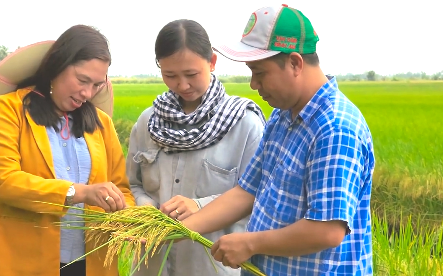 [Photo Story] Festival Lúa gạo Việt Nam năm 2023 có gì mới?