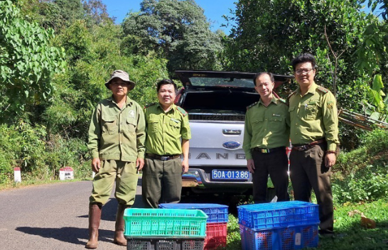 Bình Phước: 14 loài động vật quý hiếm được thả về môi trường tự nhiên