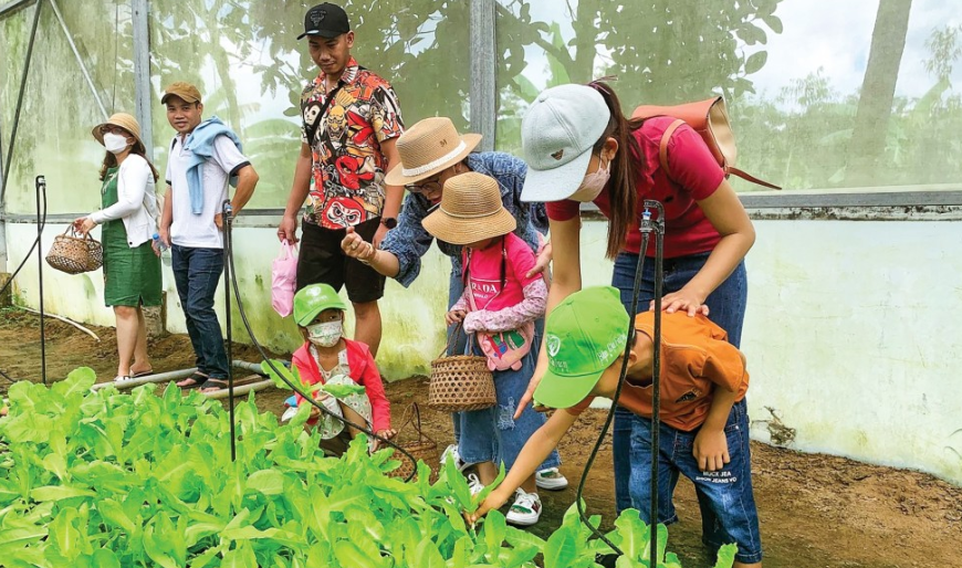 Phát triển du lịch phải gắn với bảo vệ môi trường, cảnh quan thiên nhiên