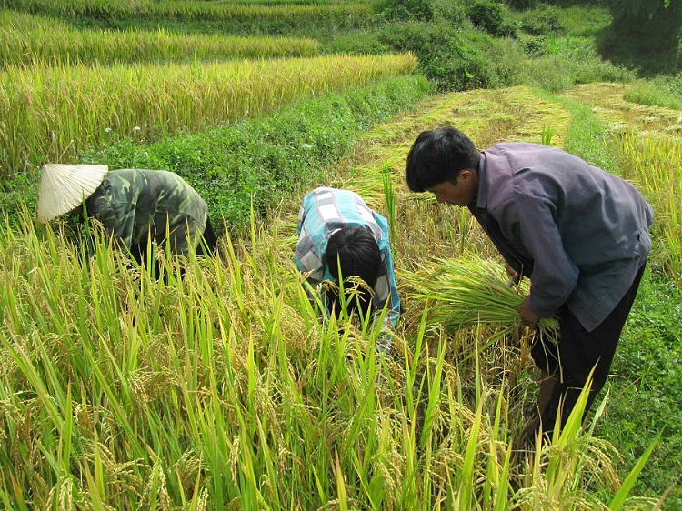Làm nông nghiệp không thể cứ “trông trời, trông đất, trông mây…”