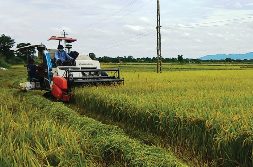 Đẩy mạnh cơ giới hoá trong sản xuất nông nghiệp