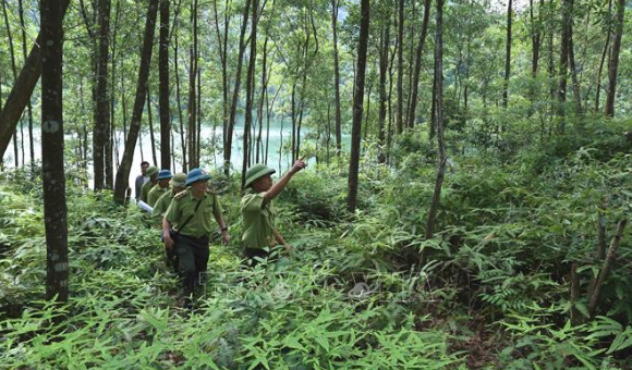 Bắc Giang: Tập trung rà soát tất cả các dự án thi công chống sạt lở đất đá