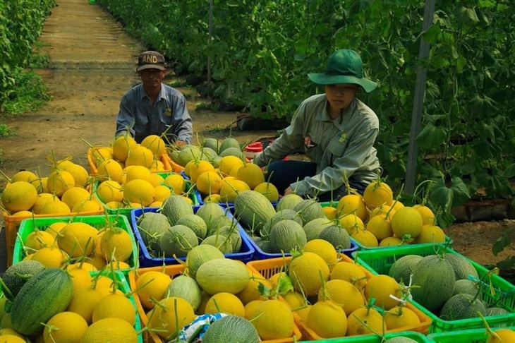 Nông, lâm và thuỷ sản tiếp tục là điểm sáng của nền kinh tế