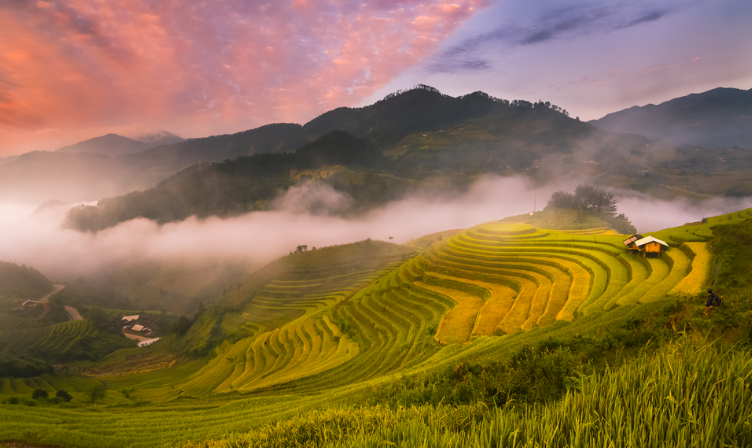 Yên Bái sẽ là địa phương phát triển bền vững theo hướng “xanh, hài hòa”