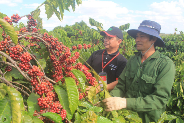 Kinh tế vùng Tây Nguyên phát triển theo hướng “xanh”, tuần hoàn