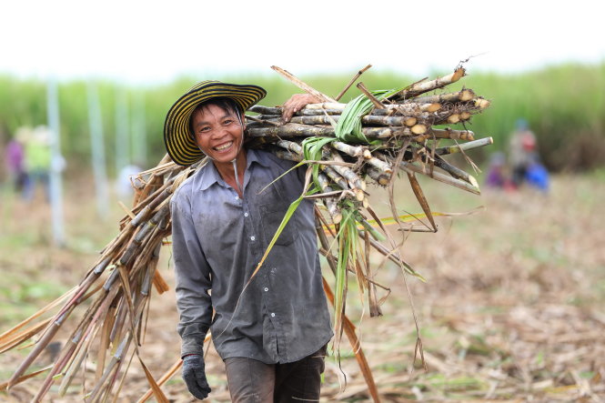 Tái sử dụng phụ phẩm nông nghiệp