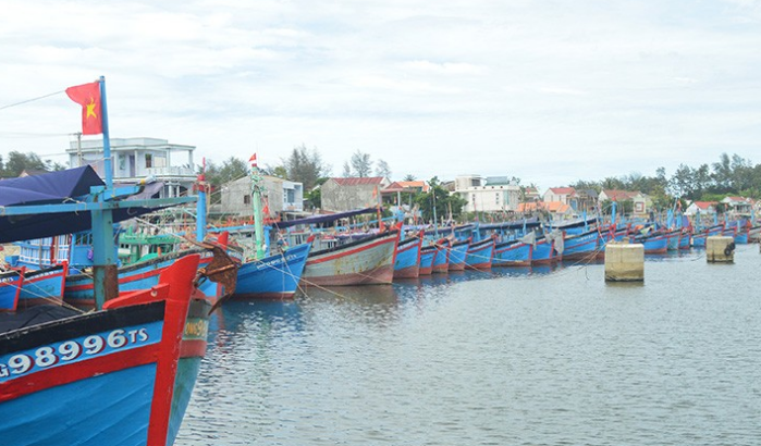 Quảng Ngãi: Tăng cường các biện pháp chống khai thác hải sản trái phép