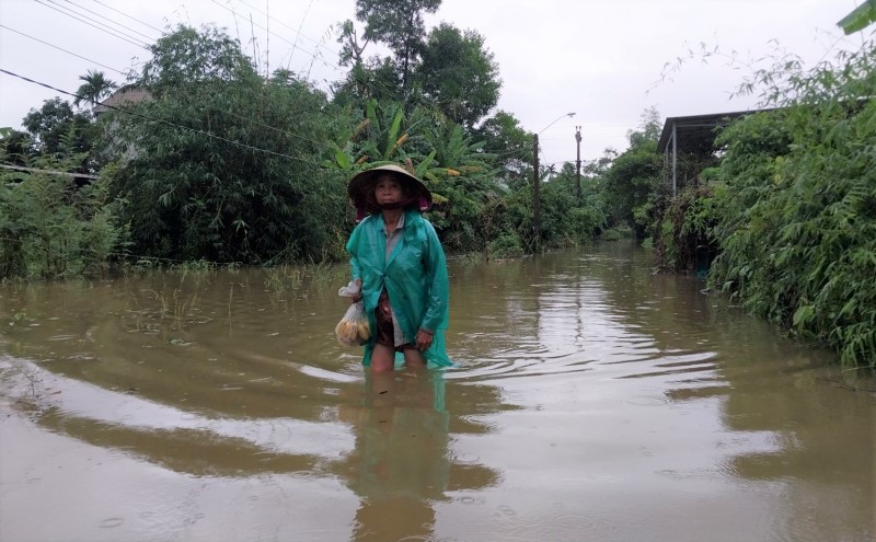 Ứng phó mưa lũ ở miền Trung: Đảm bảo an toàn đê điều, hồ đập theo cấp báo động