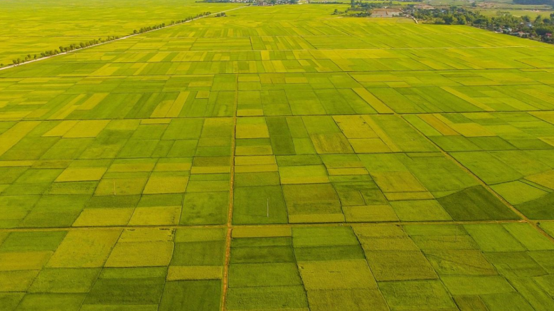 Đồng Tháp cần thực hiện hiệu quả chiến lược phát triển kinh tế dựa vào tiềm năng, thế mạnh