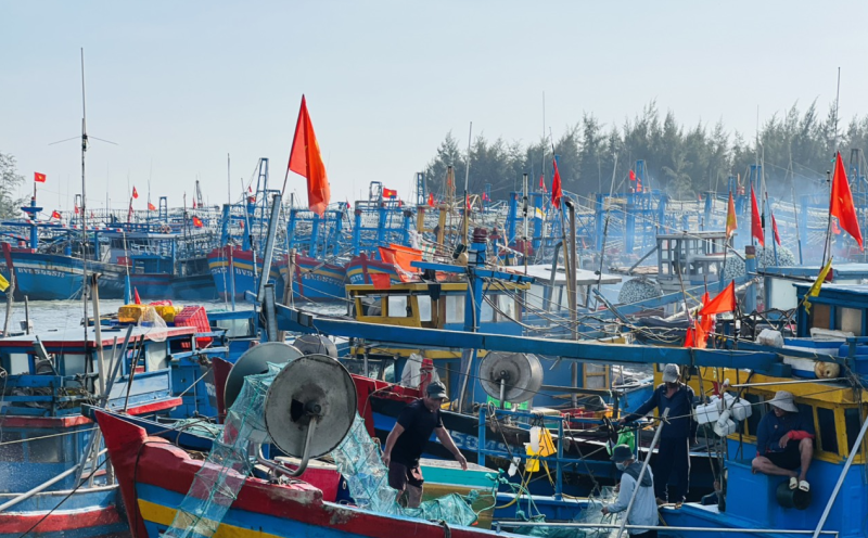 Quyết liệt ngăn chặn tình trạng khai thác hải sản bất hợp pháp