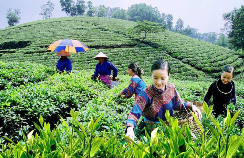 Thái Nguyên: Đón hơn 2,3 triệu lượt khách du lịch trong 9 tháng năm 2023