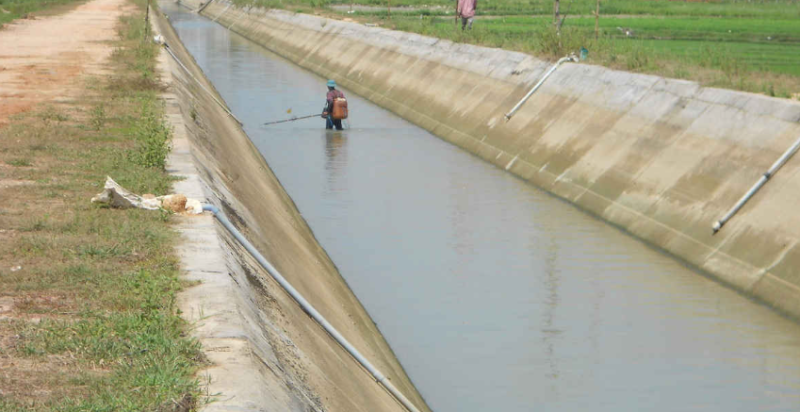 Bình Định: Triển khai phong trào đẩy mạnh phát triển kết cấu hạ tầng nông nghiệp, nông thôn