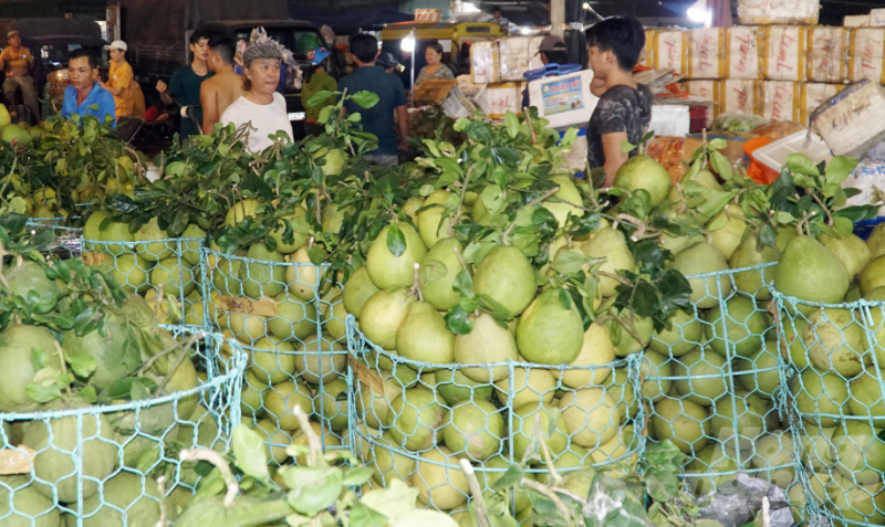 Quang Ninh sắp có Trung tâm giao dịch nông, lâm, thủy sản quốc tế