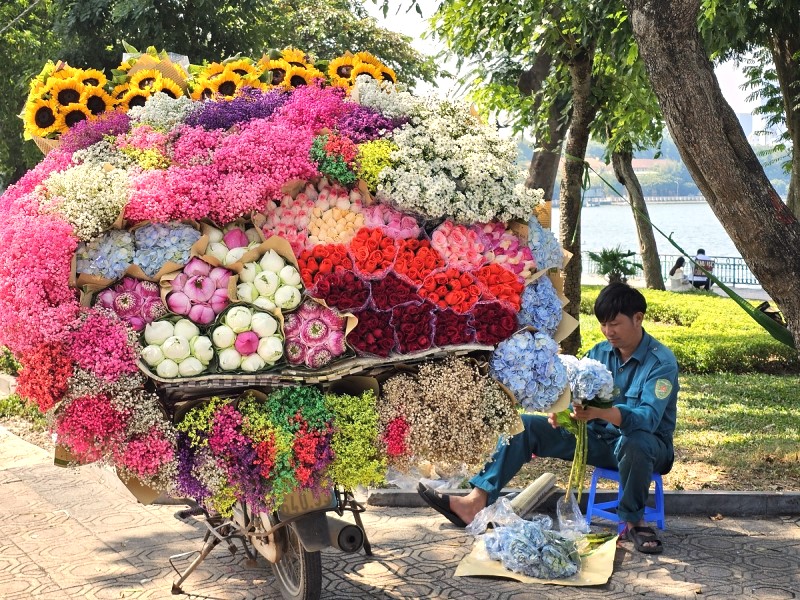 [Photo Story] Đường phố Hà Nội ngập sắc hoa dịp 20/10