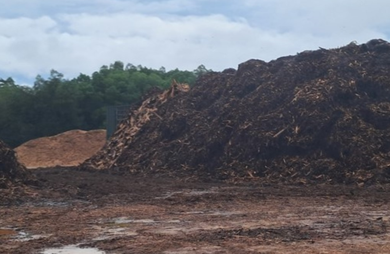 Hà Tĩnh: Cần siết chặt quản lý cơ sở chế biến gỗ băm trái phép, nguy cơ gây ô nhiễm môi trường