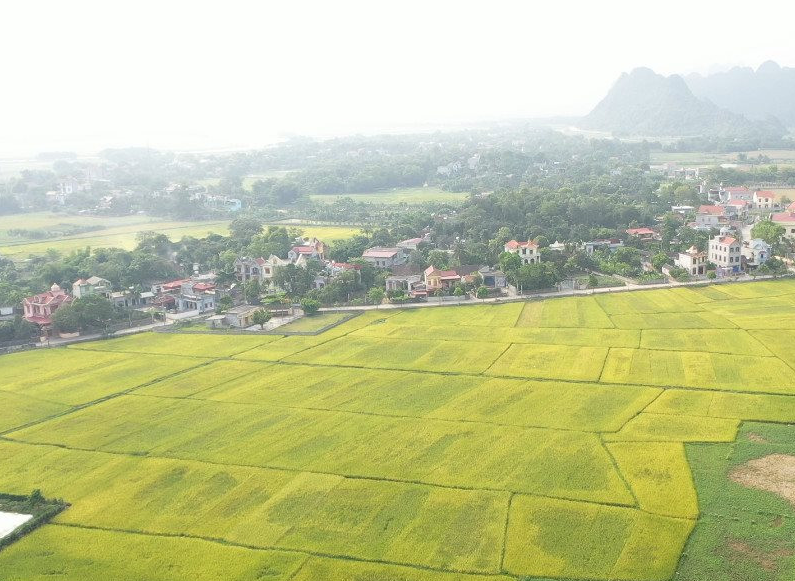 Luật Đất đai sửa đổi: “Công tác hoàn thiện các quy định phải hết sức kỹ lưỡng và thận trọng”