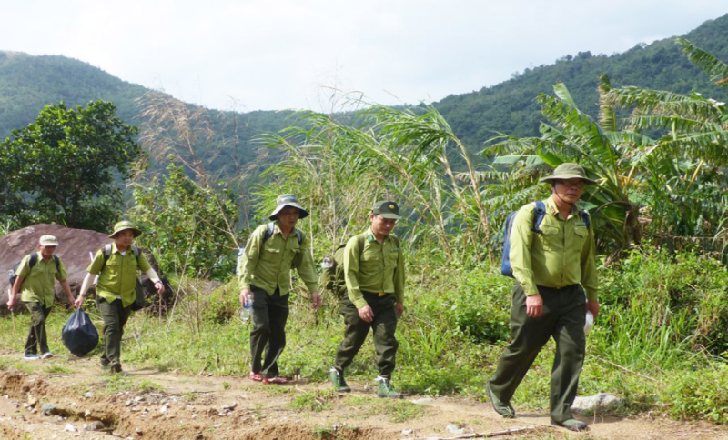 Phú Yên: Tăng cường các biện pháp bảo vệ rừng