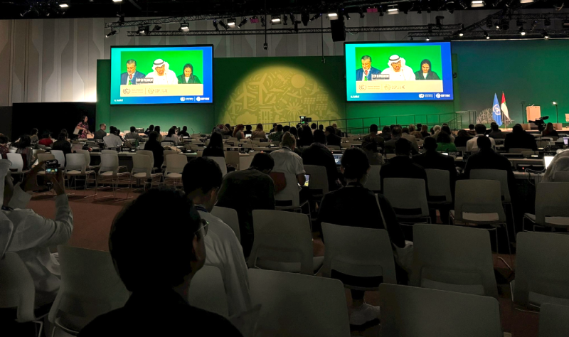 COP28: Các “đại gia” cam kết góp hơn 400 triệu USD cho Quỹ Thiệt hại và Tổn thất