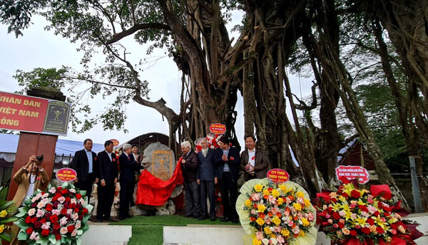 Chủ tịch Hội Bảo vệ Thiên nhiên và Môi trường Việt Nam dự lễ vinh danh Cây Di sản