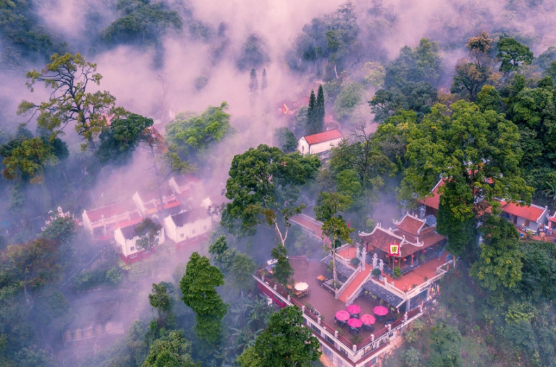 [Tây Thiên - Tam Đảo] Nâng cao giá trị cảnh quan thiên nhiên, đa dạng sinh học