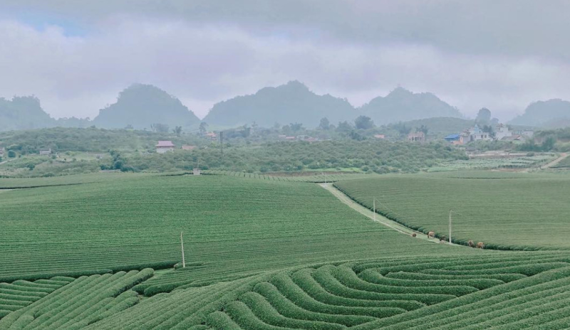 [Quy hoạch tỉnh Sơn La] Hình thành 4 vùng kinh tế, tập trung phát triển nông lâm nghiệp và du lịch