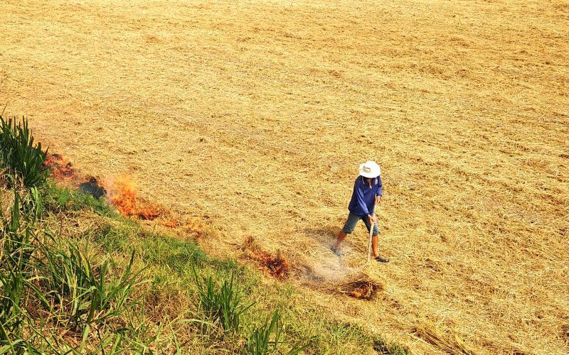 Giải pháp phát triển kinh tế tuần hoàn trong sản xuất nông nghiệp