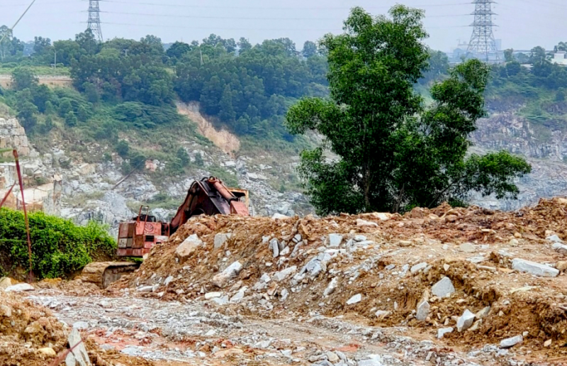 Giảm phụ thuộc vào khai thác khoáng sản, khai thác hiệu quả kinh tế rừng