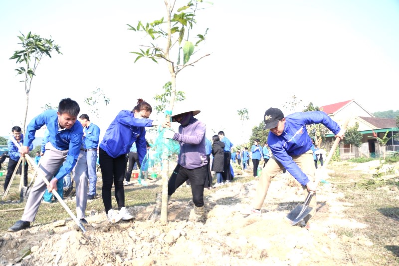 Nghệ An: Tổ chức Tết trồng cây dịp Xuân Giáp Thìn năm 2024 phải thiết thực, hiệu quả