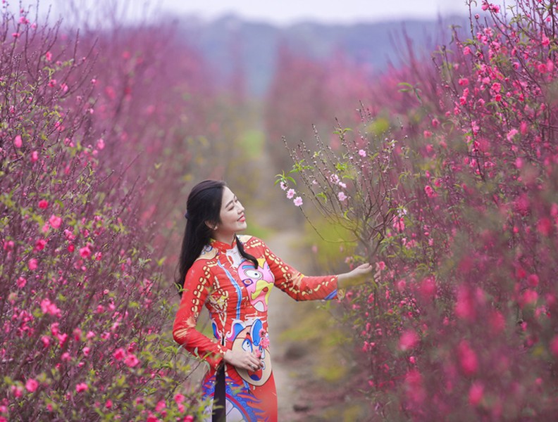 Mùa xuân: Làng lúa làng hoa