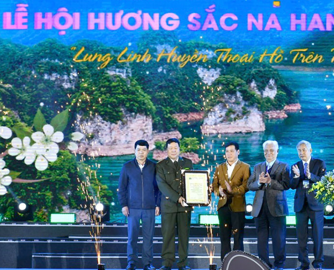 Tuyên Quang: 2 nghiến cổ thụ hơn 1.000 năm được công nhận Cây Di sản Việt Nam