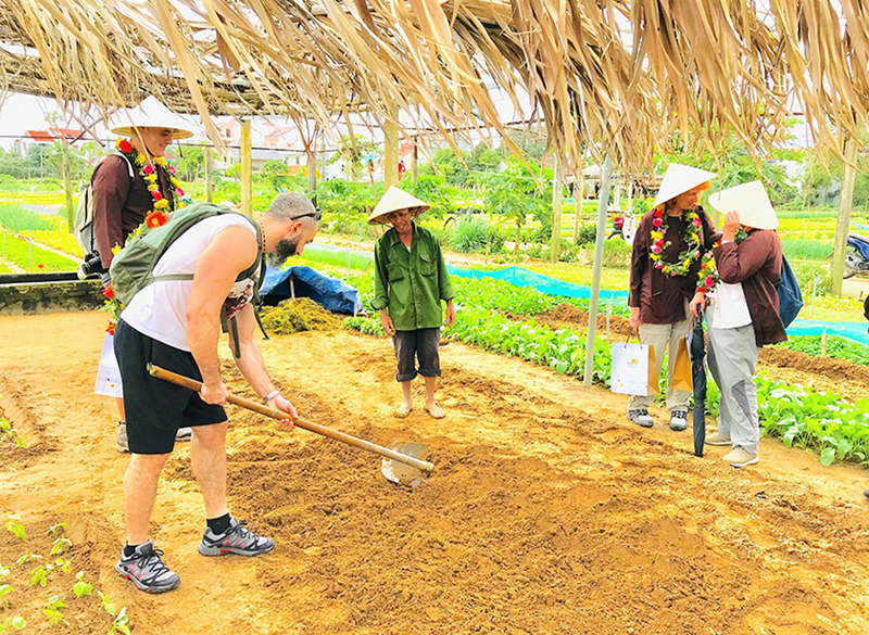 Cương quyết xử lý nghiên các vi phạm trong hoạt động kinh doanh du lịch