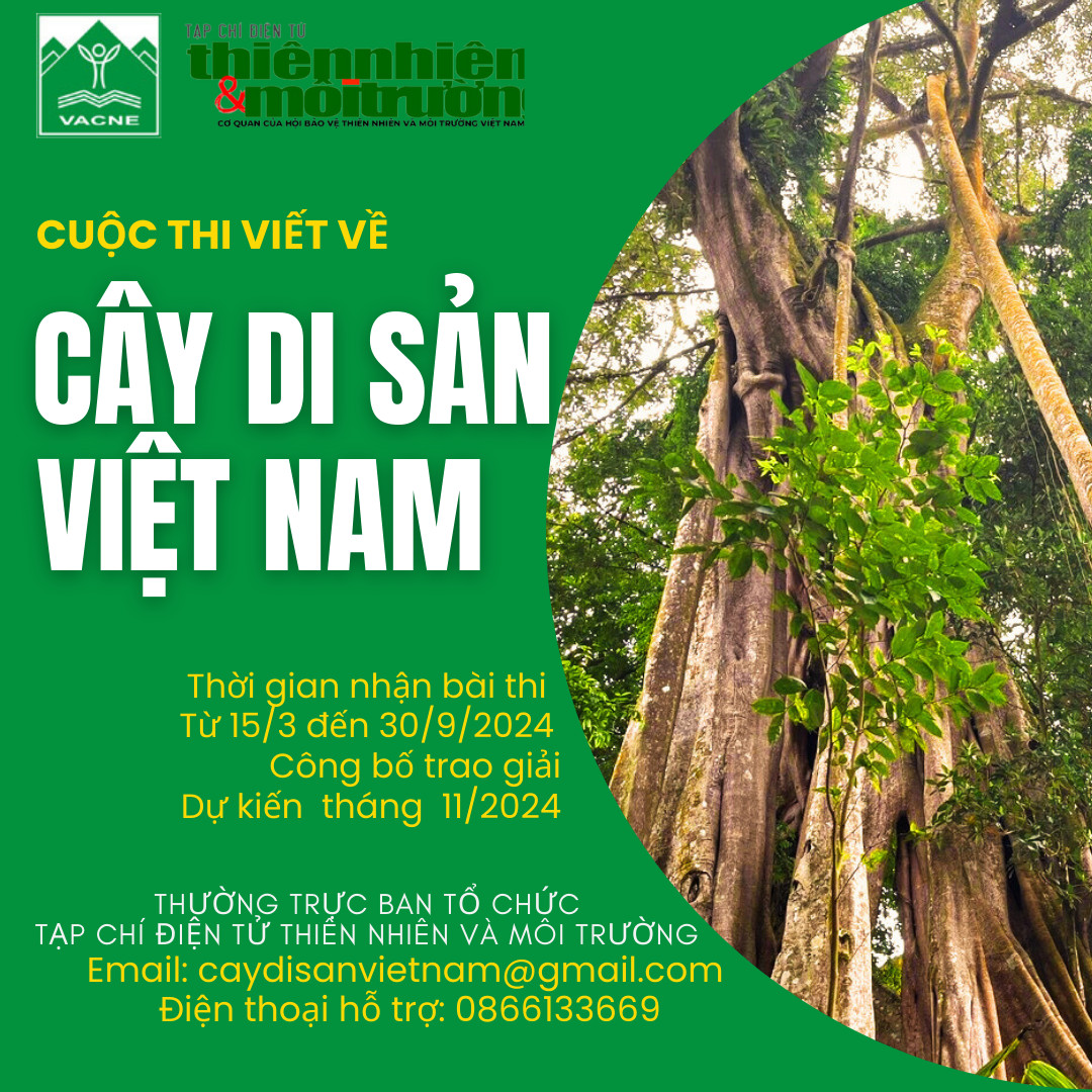 Thể lệ Cuộc thi viết về Cây Di sản Việt Nam năm 2024