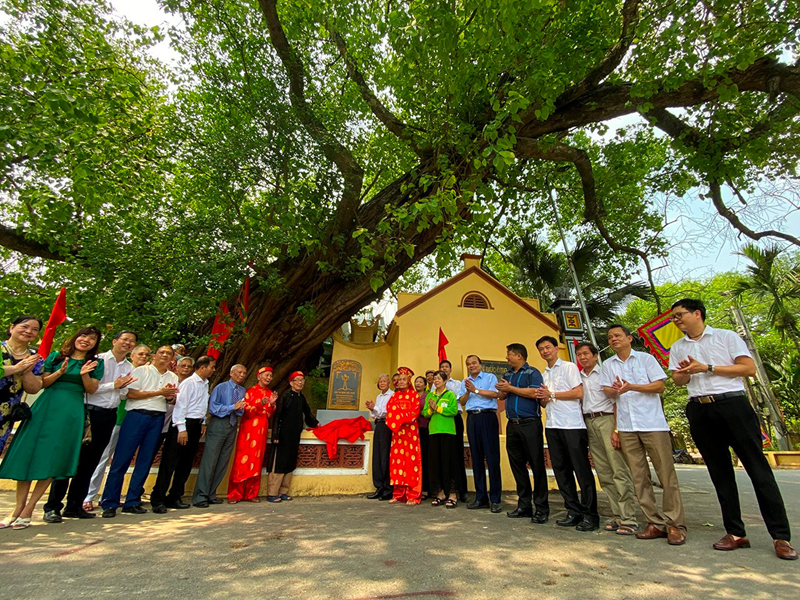 Cuộc thi viết về Cây Di sản Việt Nam: Lan tỏa thông điệp bảo vệ cảnh quan, môi trường ứng phó biến đổi khí hậu